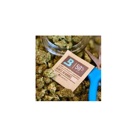 Regulator Wilgotności 58% - Boveda 67 (na 500 gram)