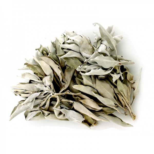 Biała Szałwia Kadzidło - Liście 20/25g