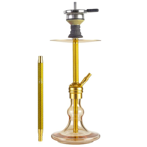 Shisha H2 - Fresh Carbon H16 - Gold 49cm