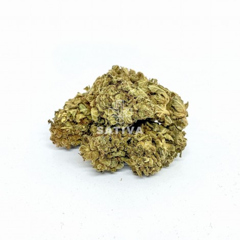 Susz CBD - OG KUSH - Flowrolls - 5 g