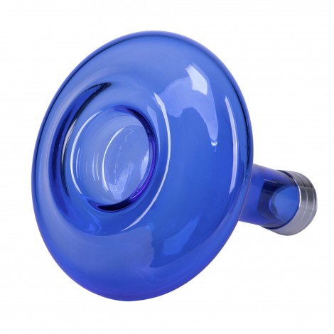Dzban do Shishy AMY SS09 - Blue