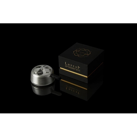 KALOUD LOTUS I + ORYGINALNY