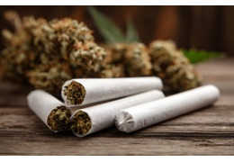 Blunty konopne - jak poprawnie je przechowywać, żeby nie wyschły