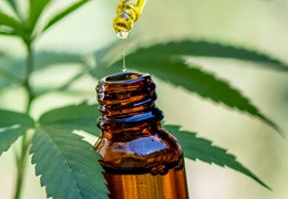 Najczęstsze mity o CBD – co naprawdę mówi nauka?