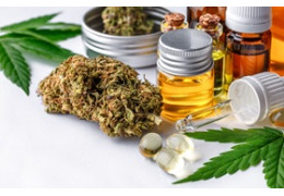 Jak przechowywać susz CBD, żeby nie stracił aromatu i właściwości