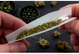 Jak dobrać bibułki do długości i grubości skręta